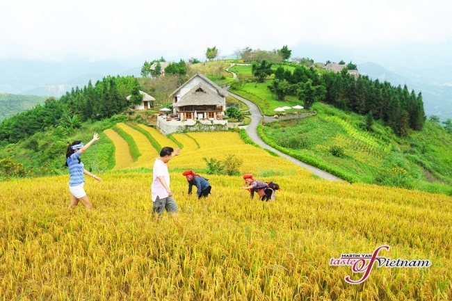 Du Lịch Sa Pa Tháng 9, Du Lịch Sa Pa Tháng 10